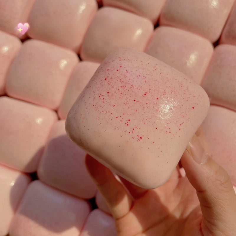 Toast Squishy